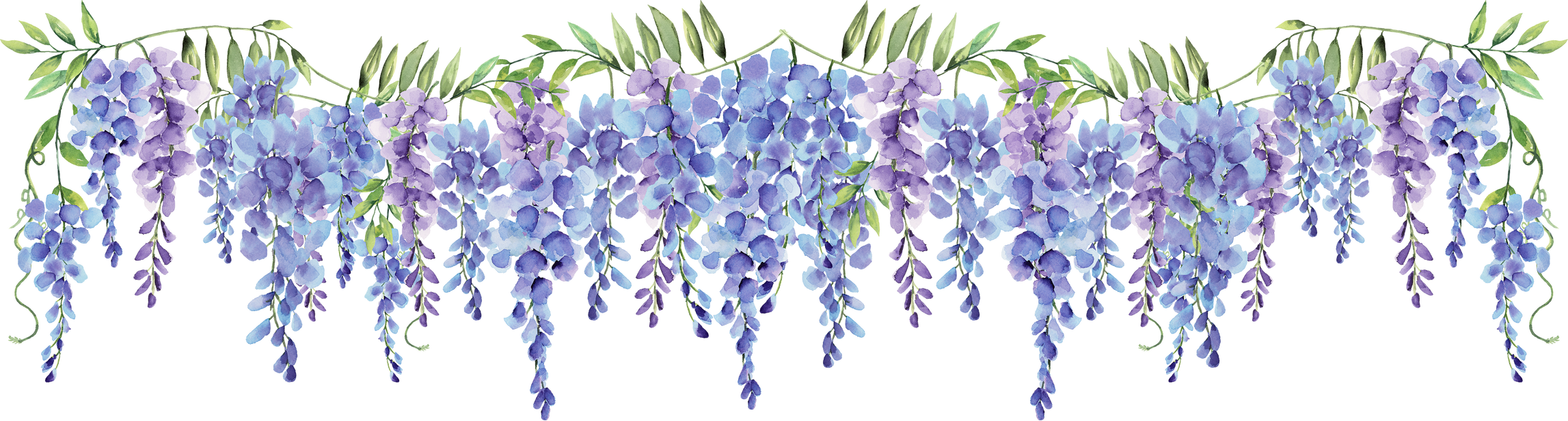 wisteria purple and blue flower watercolor long border