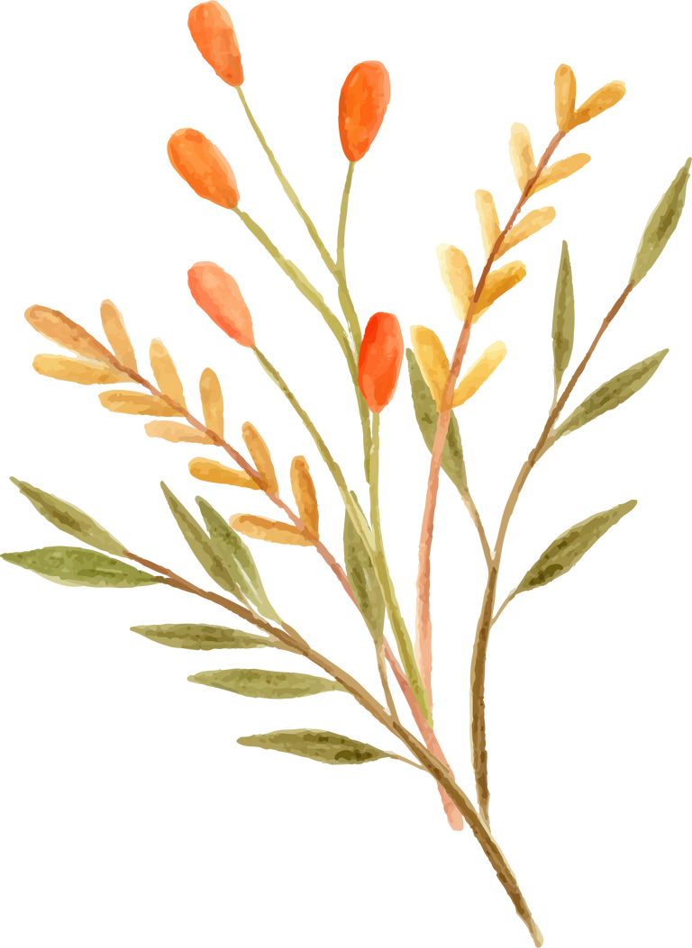 Watercolor orange flower arrangement